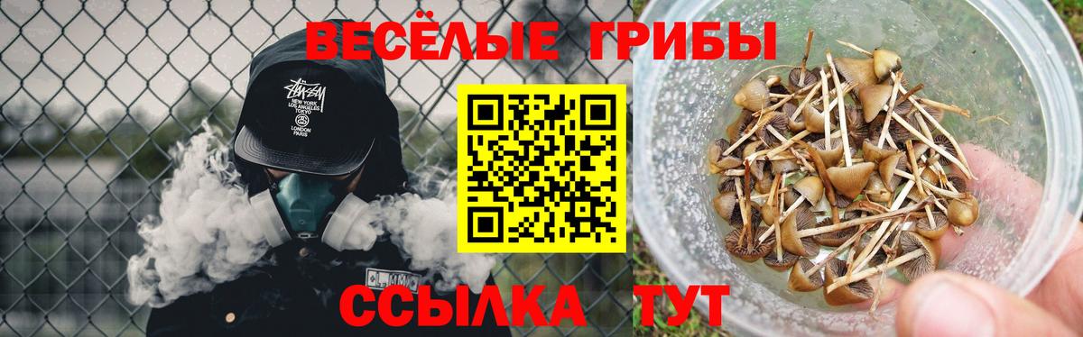 Галлюциногенные грибы Magic Shrooms Зеленокумск