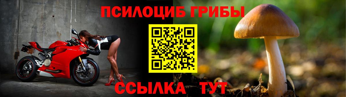 Зеленокумск  Псилоцибиновые грибы прущие грибы  Вход с VPN  Галлюциногенные грибы Psilocybine cubensis 